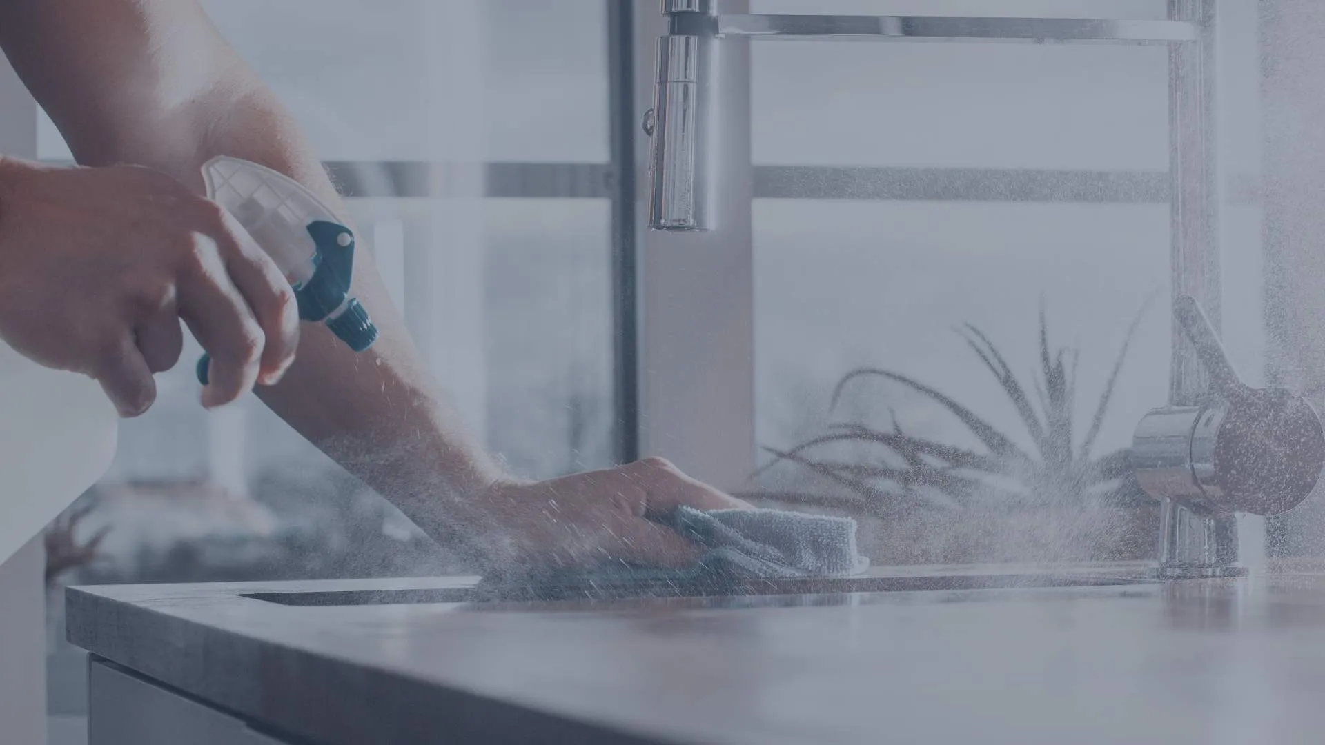 Hymy Cleaning – kuva 1