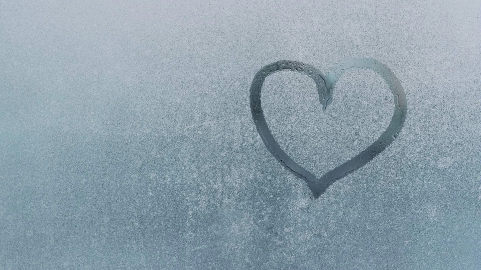 Hymy Cleaning – kuva 3